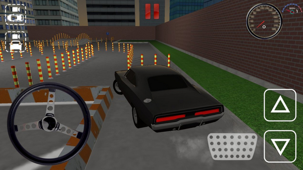 真正的停车3D(1)