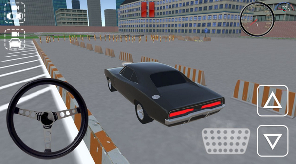真正的停车3D(3)