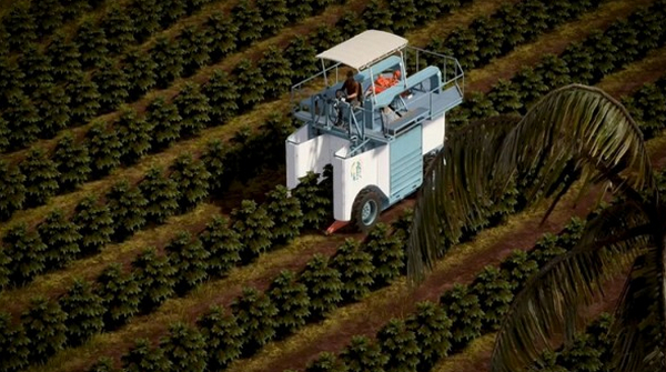 农场模拟器2020(1)