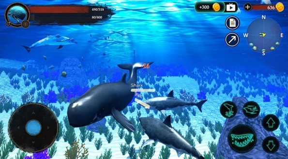 抹香鲸模拟器(1)