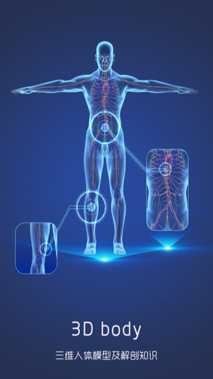 3D人体解剖图谱(1)