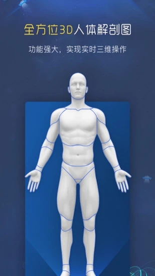 3D人体解剖图谱(3)
