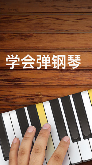 钢琴模拟器(4)