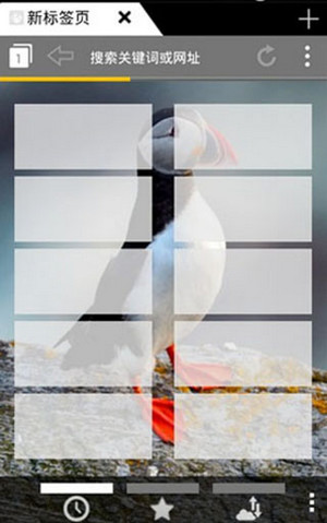 puffin(4)