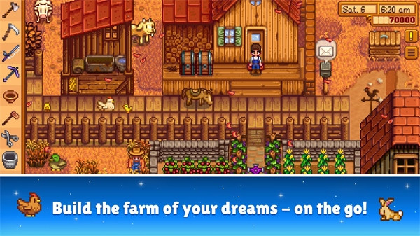 stardew valley(1)