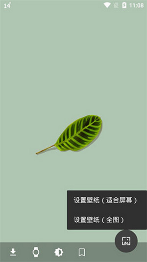 Cuto壁纸app(2)
