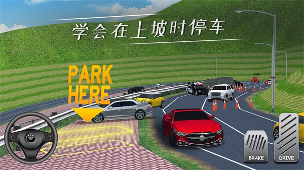 停车专家中文版(2)
